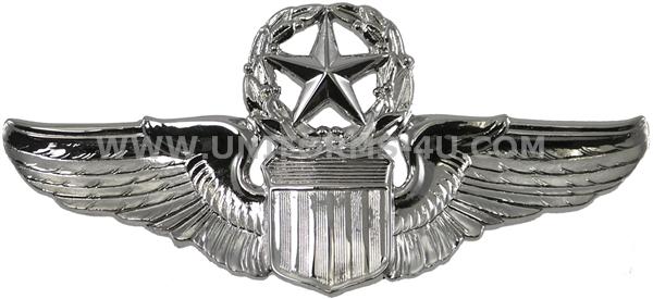 pilot badge